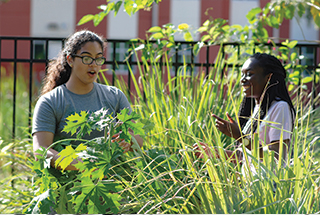 students working in campus food garden